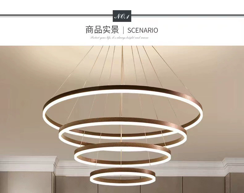 LED Ceiling Lamp Modern Creative, Ring Panels 40–100 cm, Warm/Neutral/White, Remote Option