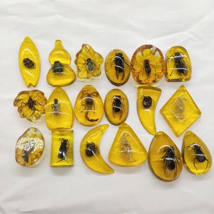 Archaeological Blind Box Real Insect Amber Small Specimen Ancient Style Natural Amber