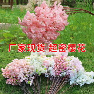 ����ѻ�֦���l4�3���滨�һ��ѻ���֦��c�b�����ٻ����ϻ�
