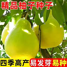 ӷNļNֲtɳַN̨ͥԺ׻߮a