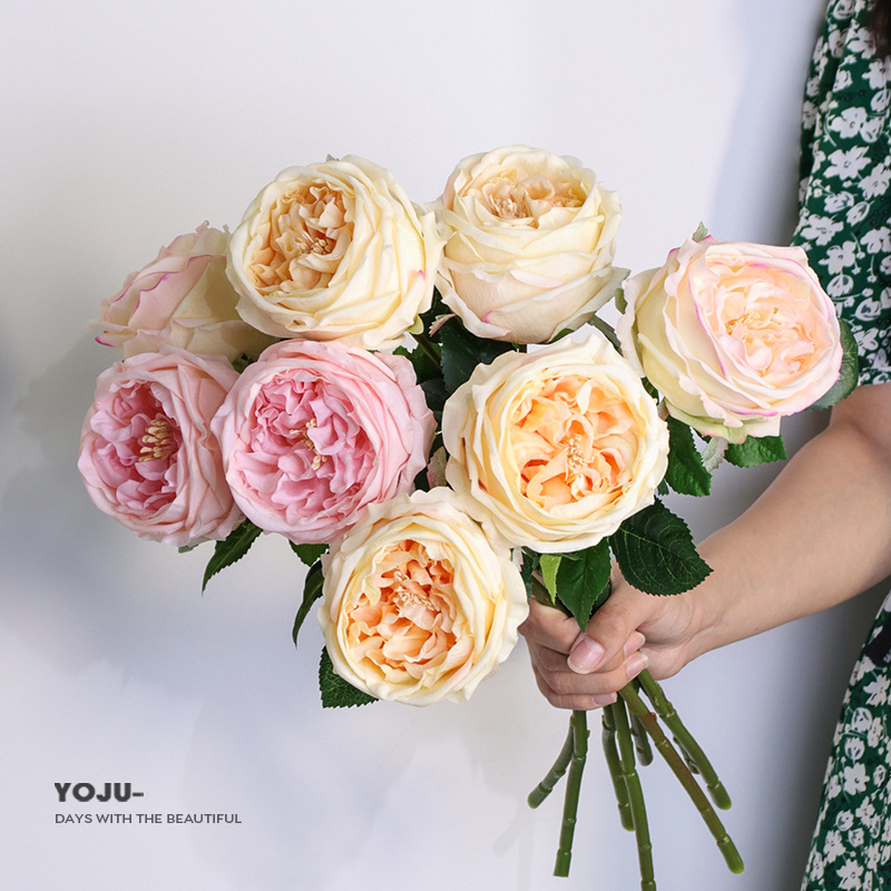 O1CN01OspOMr1VgrPC6ISOl_!!0-sa