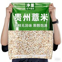 ؟o؛޲F޲ɏu^޲೬l