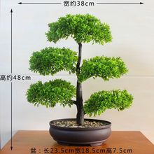 �Gֲ���lؔ���cӭ�����ҕ�������҃��辰���Կ羳һ���S��ֱ�N