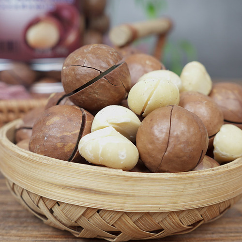 Hawaiian nuts wholesale milky flavor open new canned Hawaiian nuts 25mm 500g