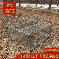戸外の天落籠ハト籠がドアにぶつかって、ハト籠の鉄籠が入っていないだけで、かごの屋根の自動ドアに入ることができない
