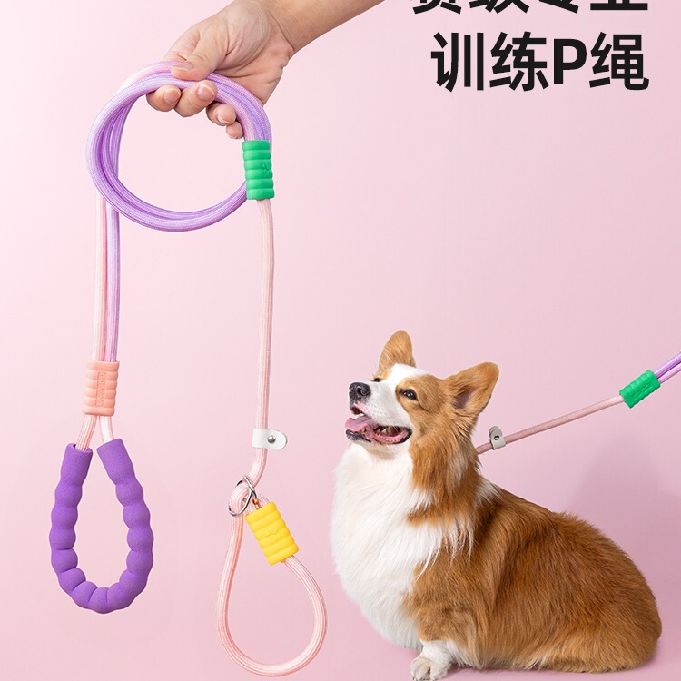 Rope Chain Dog Leash Explosion-Proof Small, Medium and Large Dog Anti-Breakaway Dog ​​Training Dog Leash Collar Dog Walking