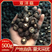 漳平黑珍珠香菇干货2-3cm干香菇厚菇冬菇金钱菇500g散装食用菌干