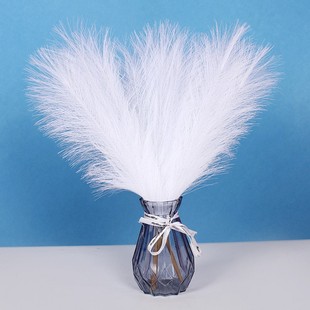 �羳���N�β�����JȔ45cm��������˹�� ���W�����[��ins�bF؛