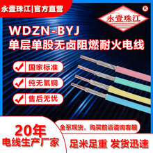 ơ늾˼~늾|lͻb늾WDZN-BYJо늾