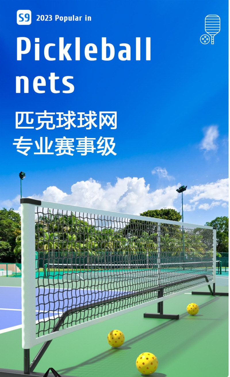 球网 (1)