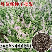 µNɢbвșķNếhwNӚWwẮwNN