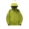 Avocado green