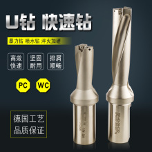 ̨܇ñ Lu荵 WC SP 4 5ĳˮ荿هˮ