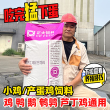 �����u�u���Z��Ϯa���u��С�u���_���g���J���u�Bֳ��������50��