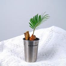 铁树宝宝盆栽办公桌面摆放澳洲杉室内净化空气趣味绿植送礼物植物