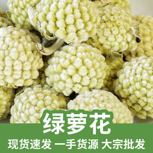 厂家批发500g西藏绿萝花雪里花雪丽花雪中情密蒙花原料量大从优