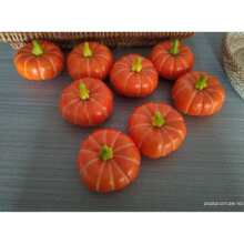 �Ϲ�ģ�͔zӰ�����r�Ҙ��b��߲ˈ�����չ�d���Ϲϔ[������