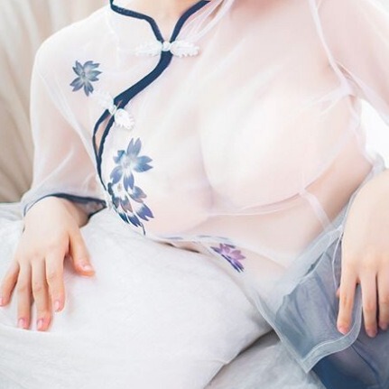 Night Ting Fragrance Sexy Underwear Perspective Long Dress Retro Sexy Perspective Mesh Cheongsam Dress 341