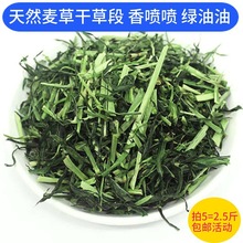 �����ݶθɲݰ�� �������ӼZ���m�i������؈��� ���r���ݸɲݶ�