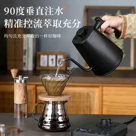 外贸款细长嘴鹅颈手冲咖啡壶跨境代发110V220V美标加拿大电热水壶