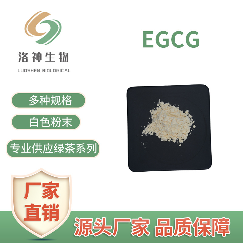 EGCG 98% 厂家直供表没食子儿茶素现货包邮酸酯绿茶提取物100g/袋