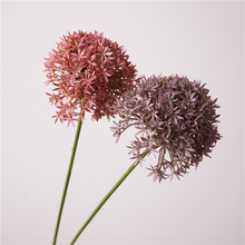 ѹӢKLֲﺆs軨廨ʽ[ӰgܛbˇWʯ