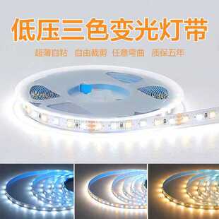 灯带led条自粘智能24V三色灯带柔性变光家用客厅吊顶天花氛围灯带-阿里巴巴