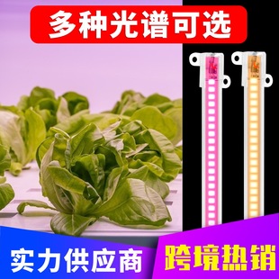 Qianchun Lighting LED plant growth lamp one drag two planting fill light with full spectrum cyclic dimming hard light bar