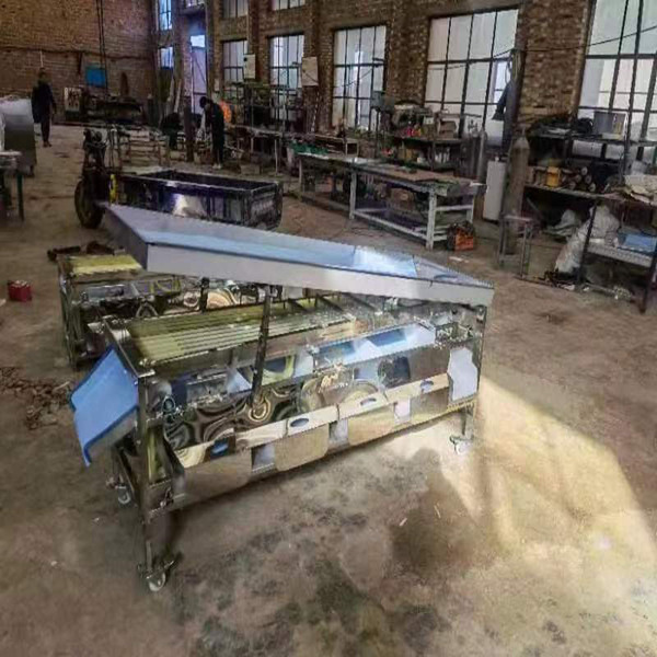 Household belt-type fruit sorting machine