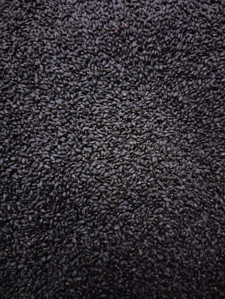 Lan Xiang Zi (Ocimum basilicum) — Basil Seeds for Herbal Drinks & Desserts key features