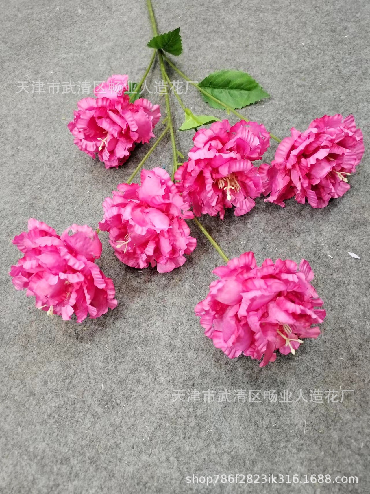 c5d1c1119f937ab7d295a42b340c9d