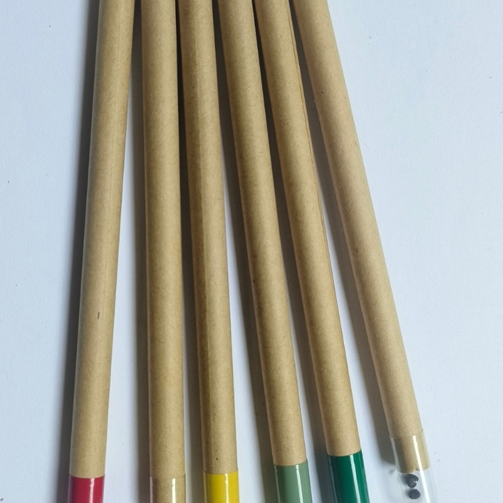 厂家直销环保纸质圆珠笔种子圆珠笔创意印刷logo铅笔款式多样新颖
