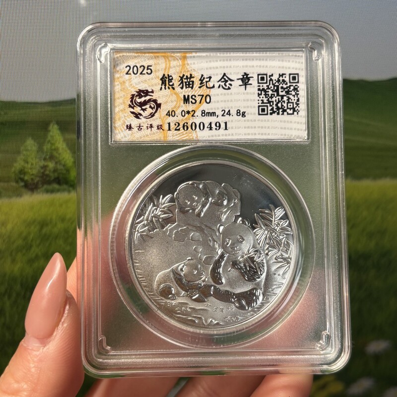 Panda Commemorative Coin and Medal, 30g, 2025 Commemorative Festival Gift, Gift for Elders, Craft Ornament, Wholesale