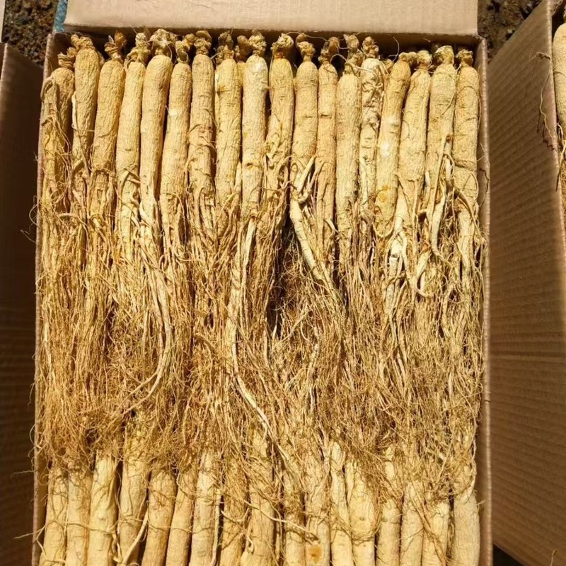 足龄老人参干货长白山250克人叁泡酒泡水中药材东北特产生晒白参|undefined