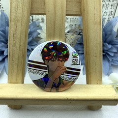 某某原耽小說周邊同人吧唧 盛望江添徽章細閃磨砂胸章木蘇里