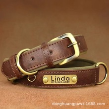 ײɫ̫���ތ����Ȧ�ɿ���͸�⹷�Ȧ�͹�Ƥ�ﹷ�������KԴ�^���S