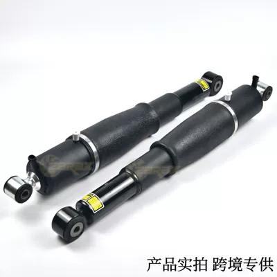 22187156 Is Suitable for damping system