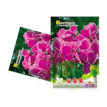 厂家批发仙客来种子粉红色花卉种籽室内阳台盆栽花种子彩包约3粒
