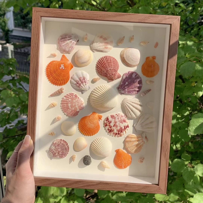 seaside shell conch diy specimen frame homemade handmade gift commemorative picture frame hollow square simple photo frame