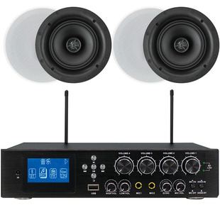 Yayin YAYIN TL-JX600 потолочный динамик звуковой динамик встроенный динамик