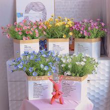 ʾСrռٻ滨[O͏d滨ˇb[һ