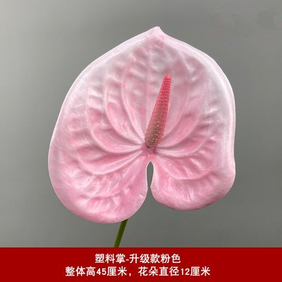 팜 핑크 업그레이드