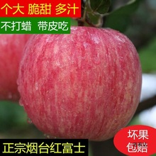 ���r�O����̨�O����̨�t��ʿ�O��ɽ�|��̨�t��ʿ�O��3/5/9/10��