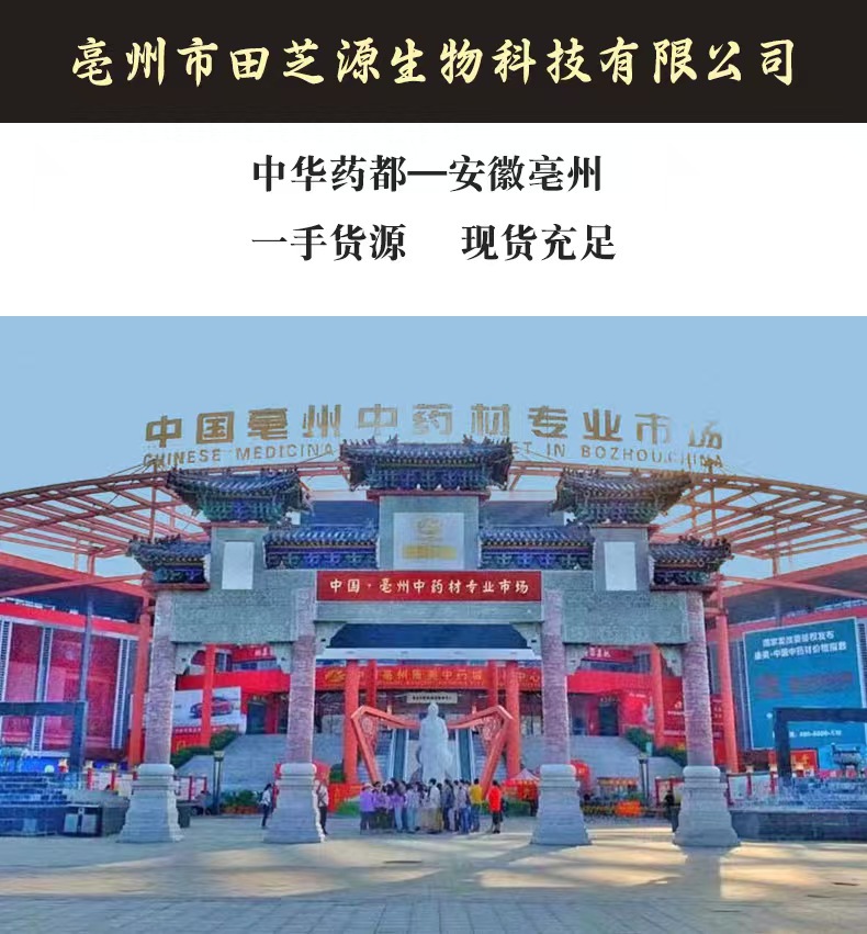 Zexie Powder Alisma Water Plantain Powder 500g Sichuan Dried Rhizome TCM Herbal Ingredient overview