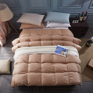 ȫZqq40֧80֧ȫԳqqrˇ Ʒ