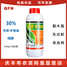 ʯ��τ���@�� �V���� ��ľʭ����@���Ѹ����rș�������x��