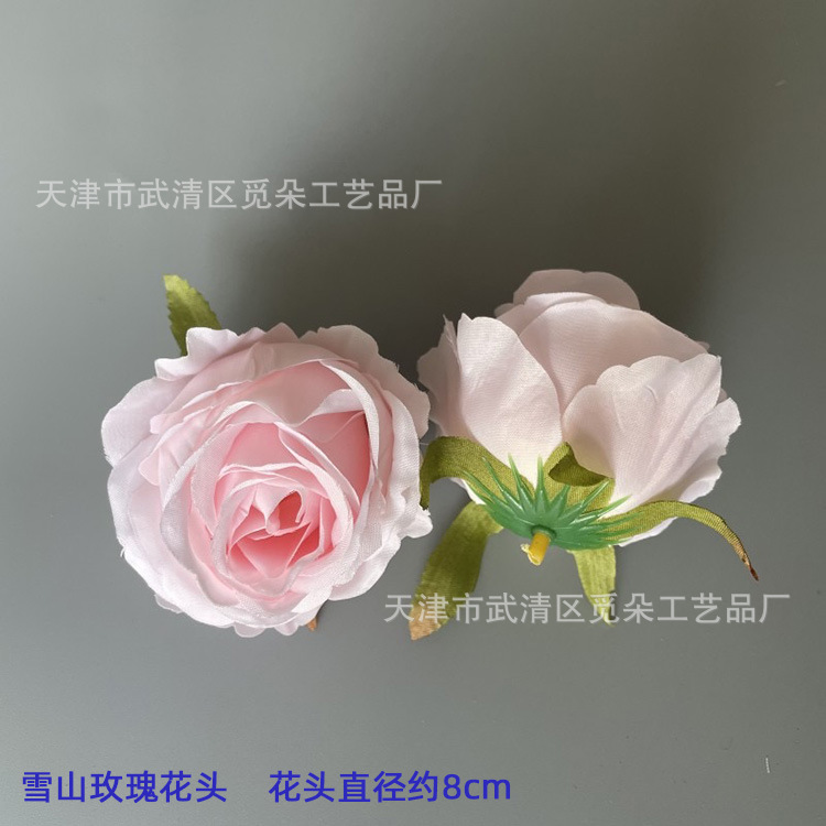 스노우 마운틴 로즈