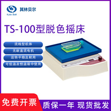 海门其林贝尔TS-200型双层脱色摇床 TS-200型脱色摇床