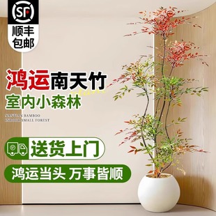 ���������Կ͏d����ֲ��Gֲ�߼�������k���҃ȸ߶���ش�̖�辰