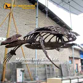 拼装古海龟乌龟骨架仿真动物化石模型 手工摆件博物馆室内装饰